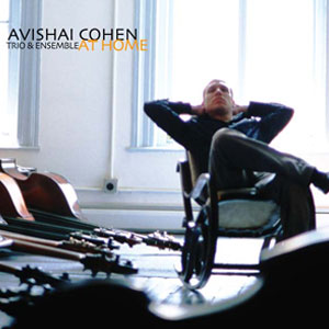 Avishai Cohen - At Home