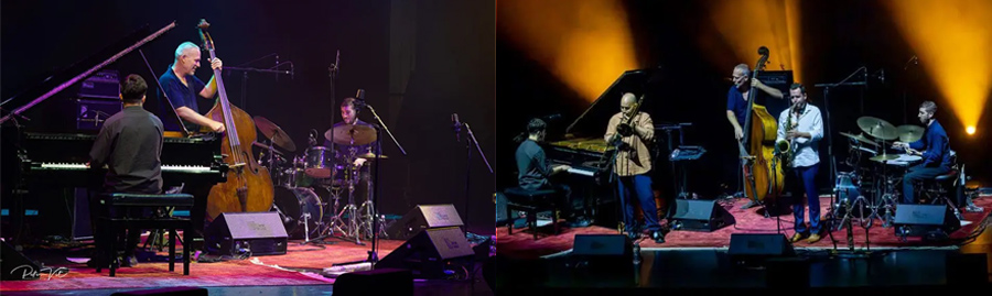 Avishai Cohen