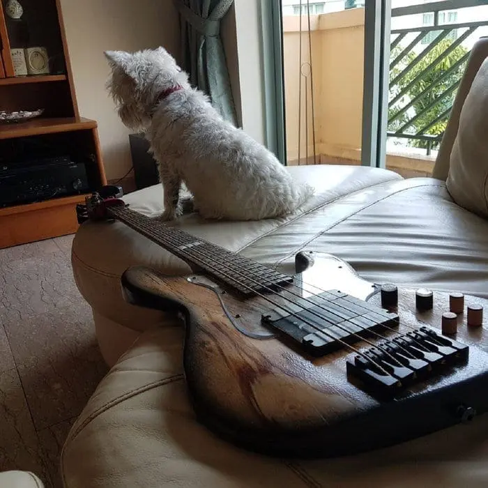 PUBLICIST FOR USA & CANADA