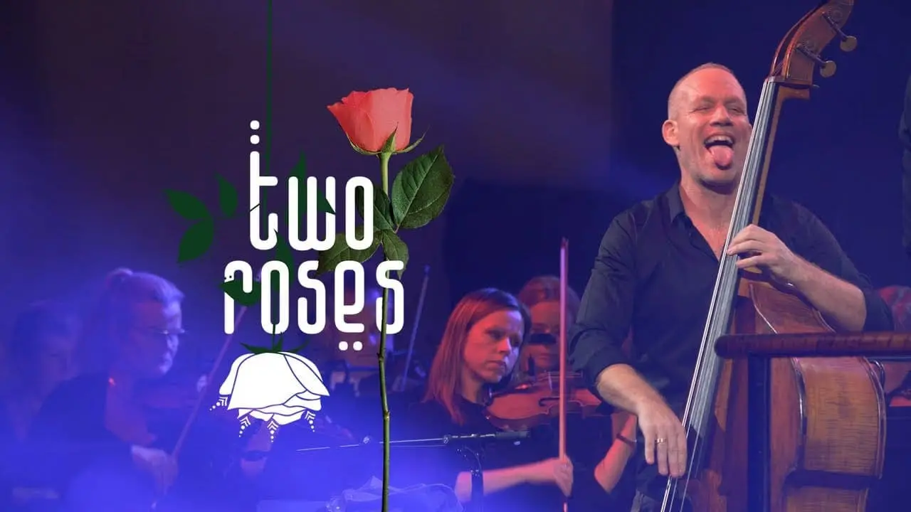 “Pearls in a basket of pearls”- Gaffa.dk