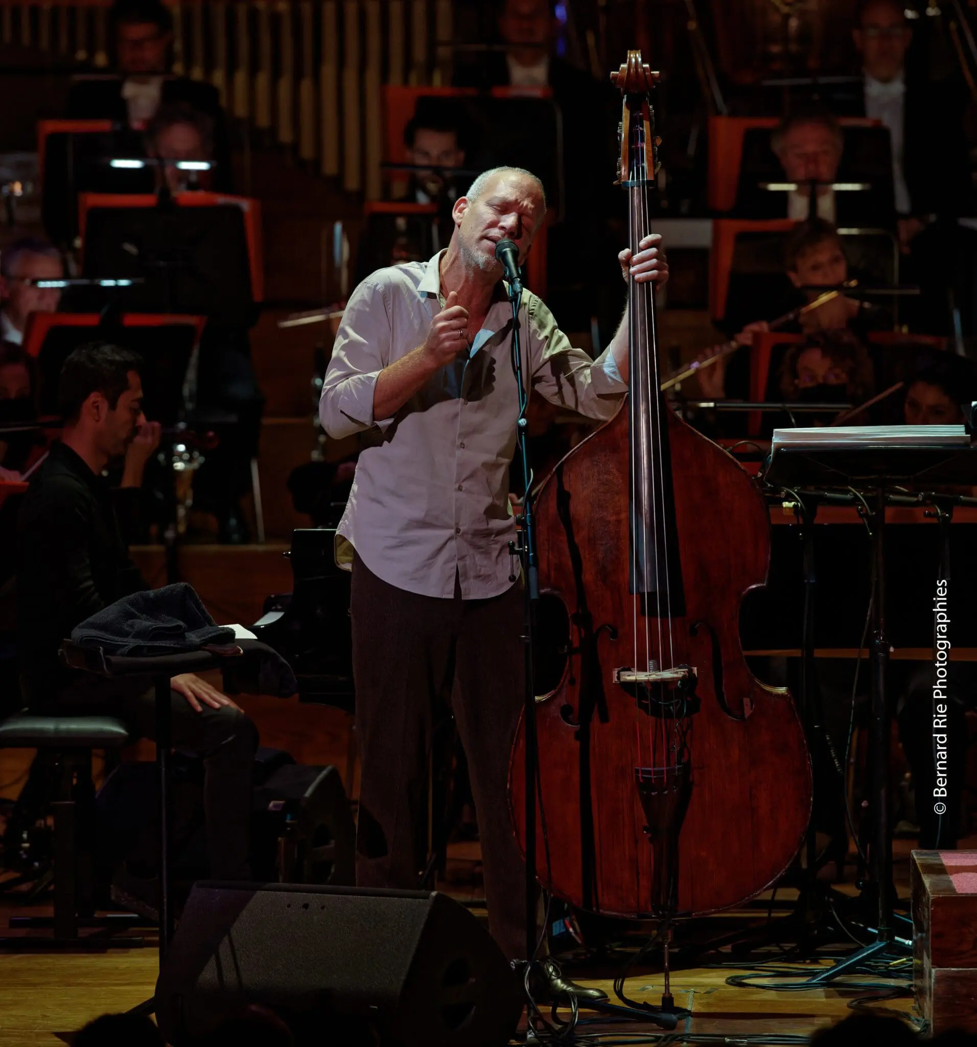 Newsletter – December 2021