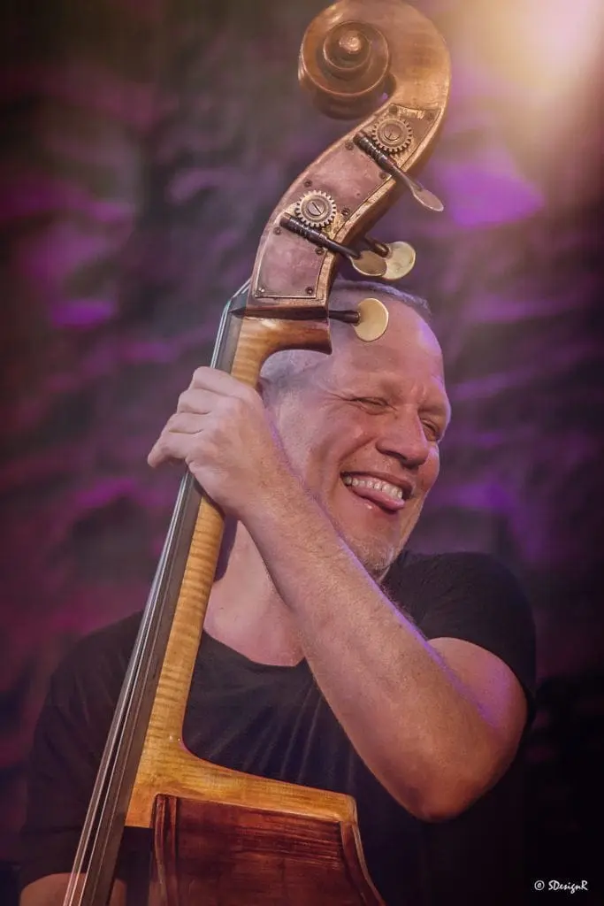 'Arvoles' - Avishai Cohen playing double bass on stage