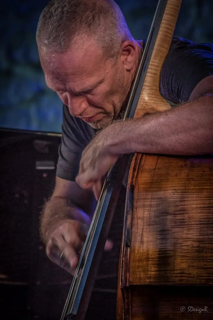 'Arvoles' - Avishai Cohen with double bass