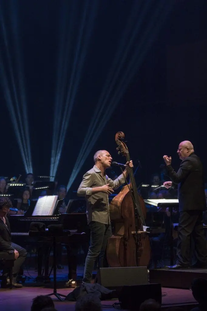 Avishai Cohen