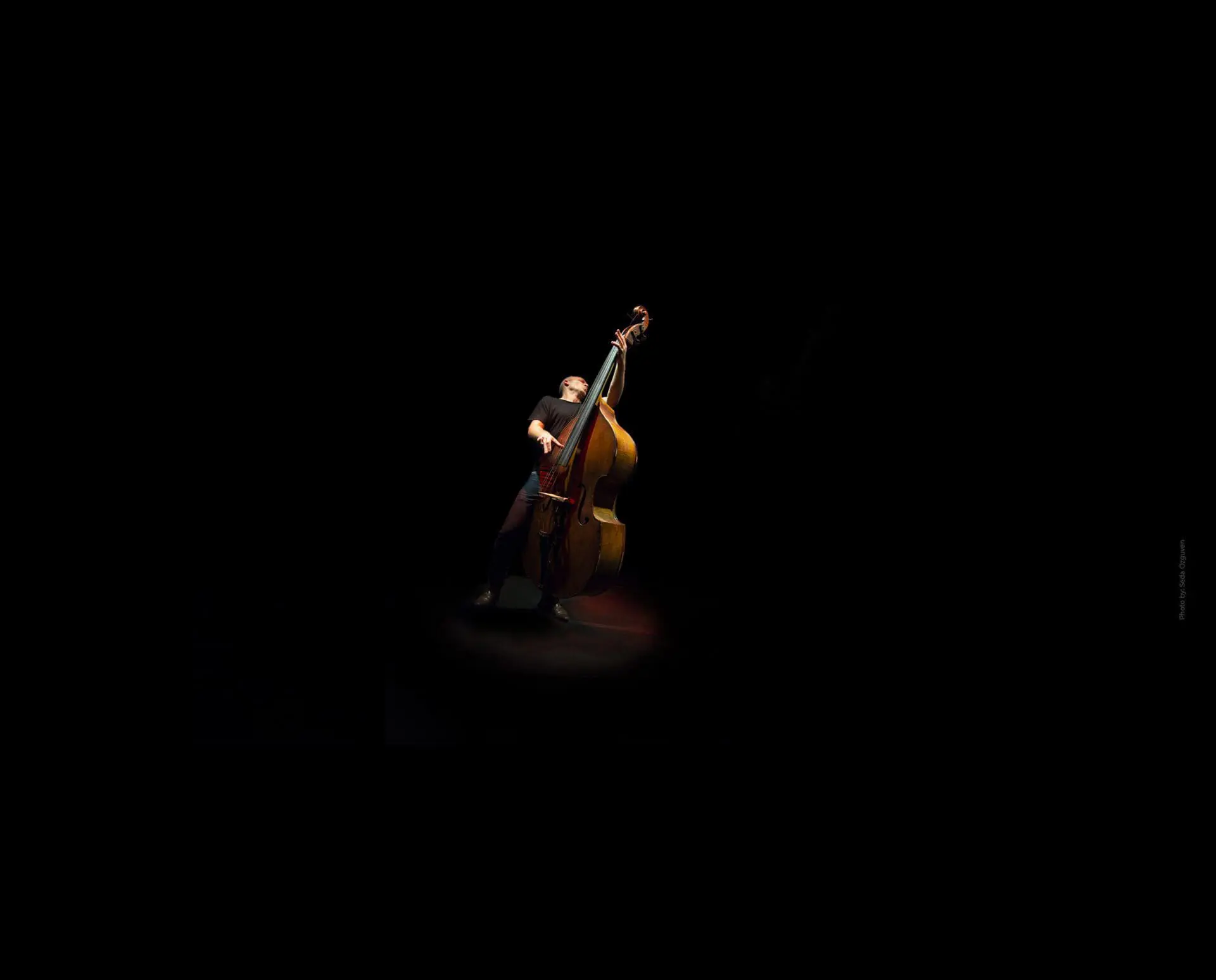 Avishai Cohen - Bassist - composer - singer