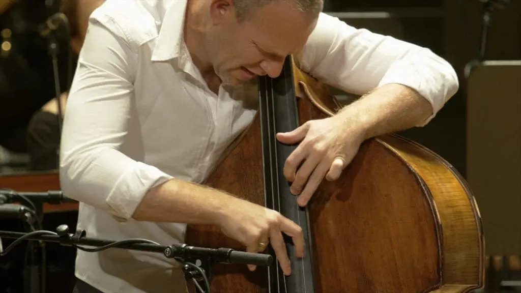 Avishai Cohen playing double bass (closeup)