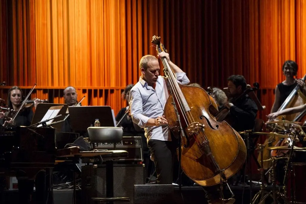 Avishai Cohen playing double bass
