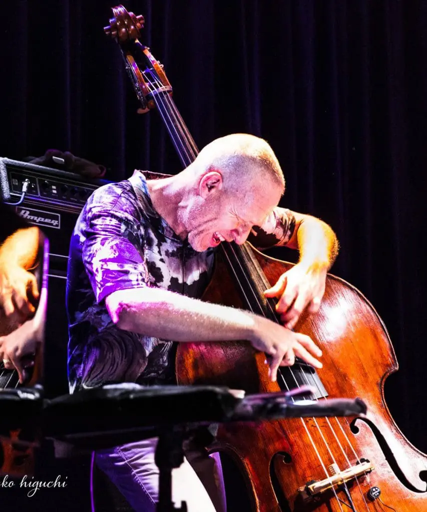 Banda 'Iroko' - Avishai Cohen with bass - credits Makoto Matsuo