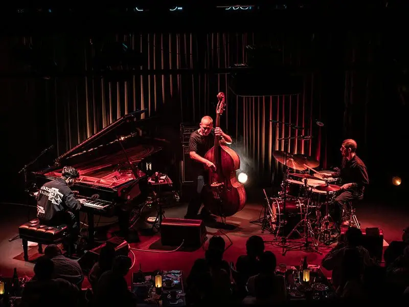 Newsletter – Avishai Cohen – March 2026