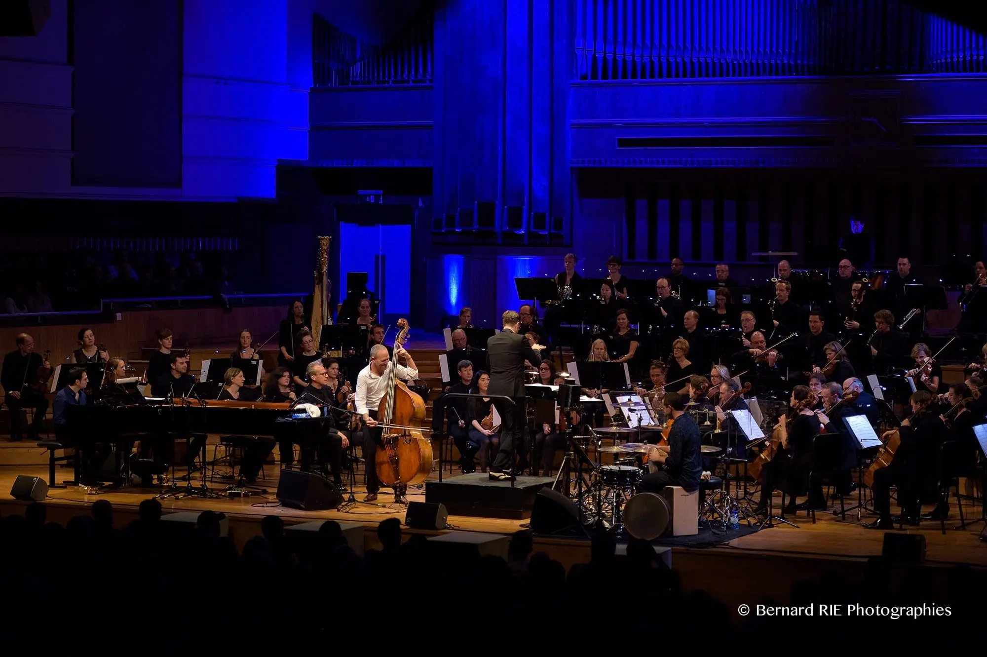 An Evening with Avishai Cohen’