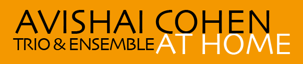 Avishai Cohen Trio &ndash; At Home