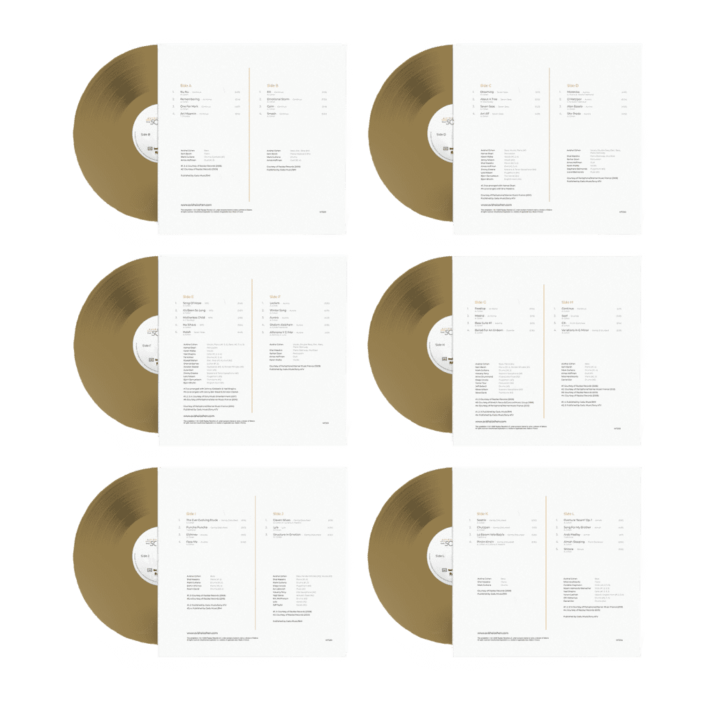 Avishai Cohen - The 50 Gold Selection - Vinyl Discs - Back